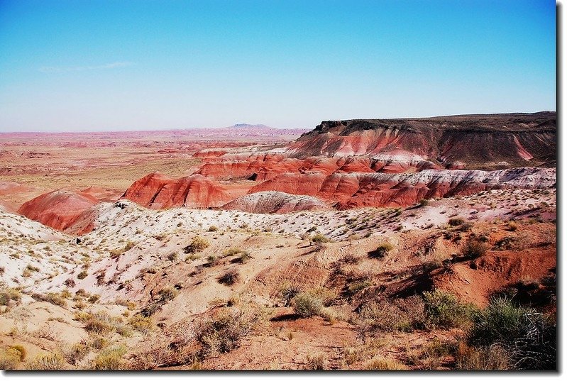 Painted Desert From Whipple point 1