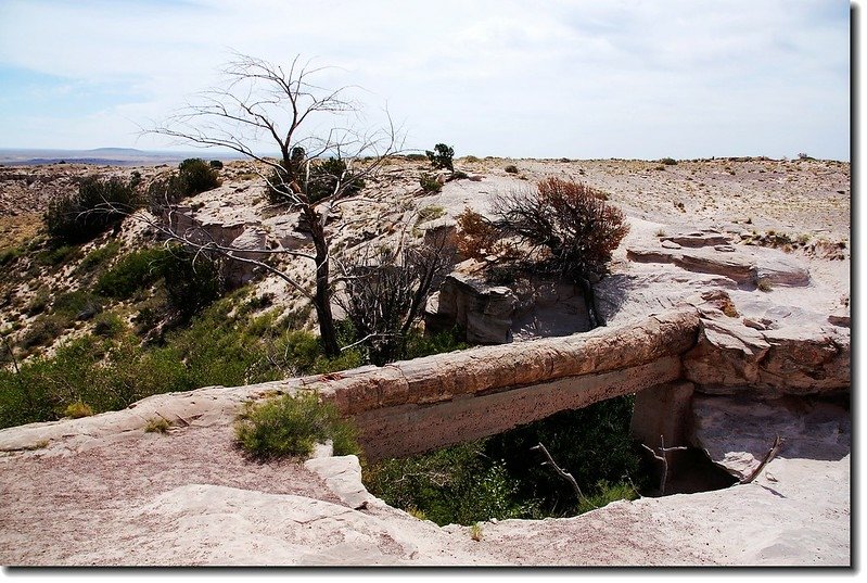 Agate Bridge 1