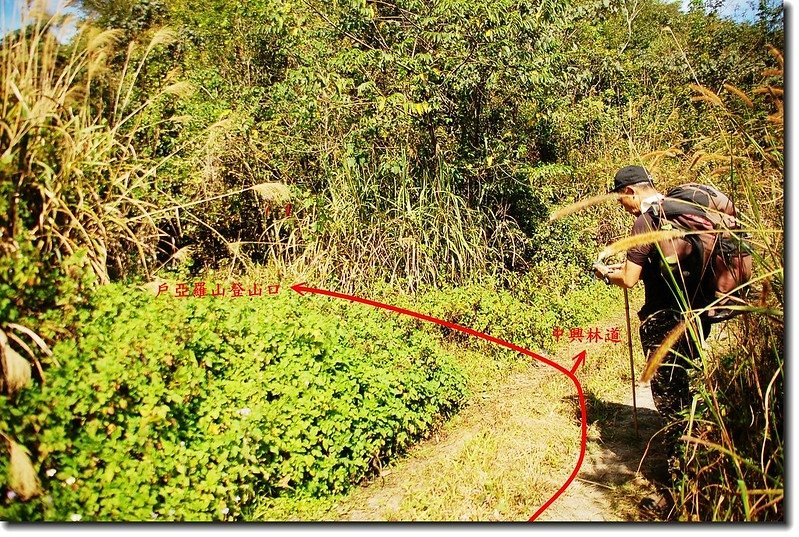 戶亞羅山登山口