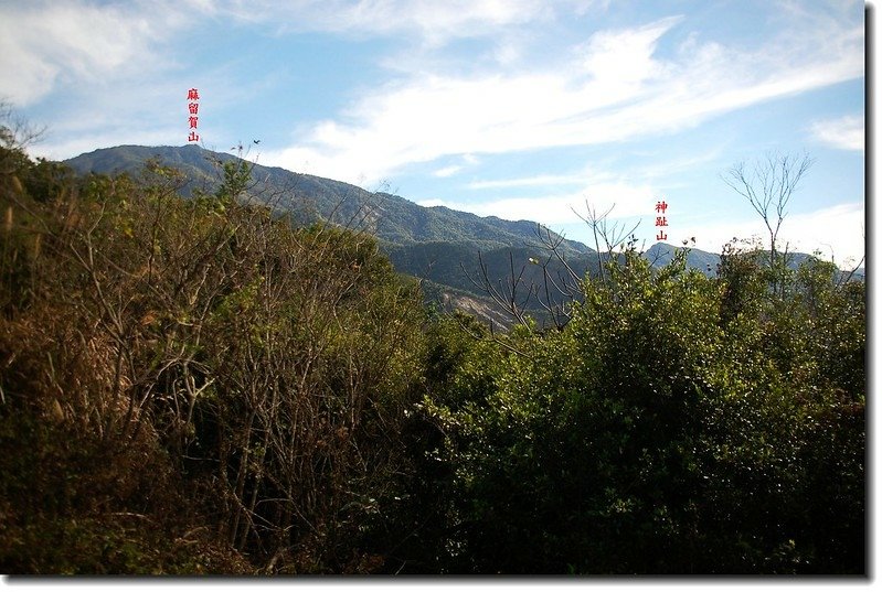 中興林道東北眺麻留賀、神趾山