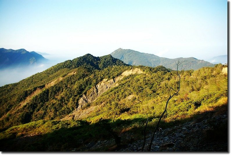 中興林道西南眺戶亞羅、德文山