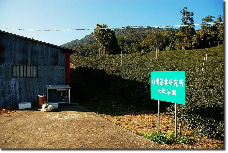 南東眼山行車終點農家