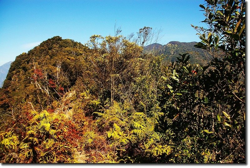 關刀山裸岩區東北望關刀山、守城、守關山