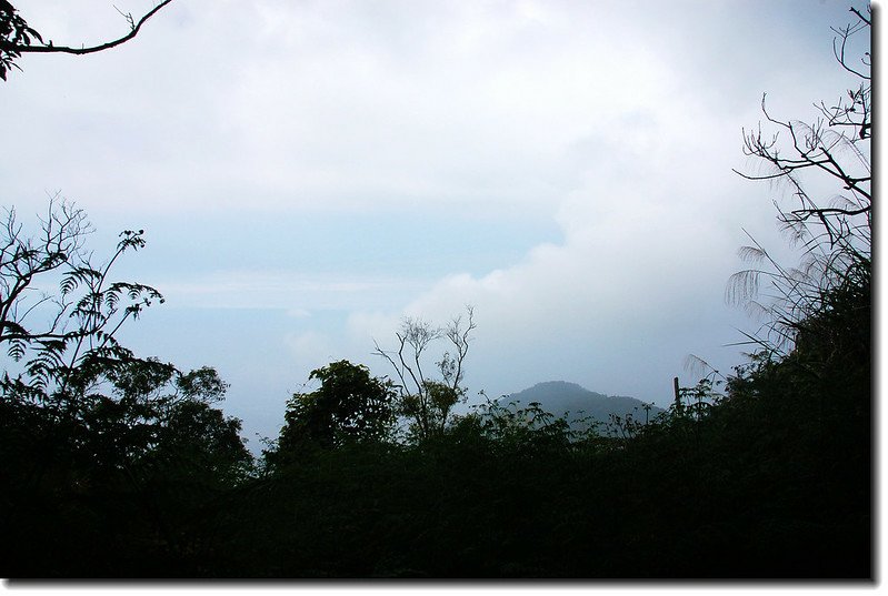 久集山山頂透空處西眺