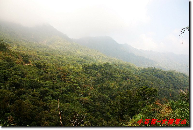 薄霧裡的大橫屏