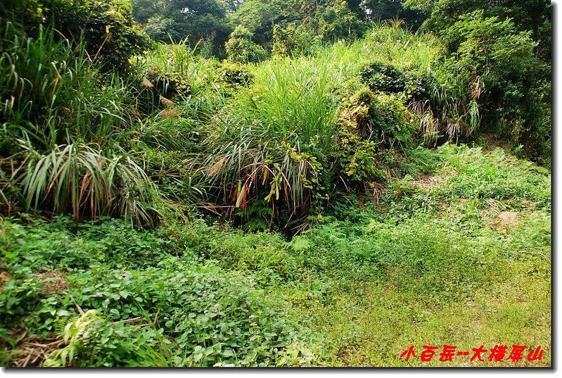 大橫屏山登山口