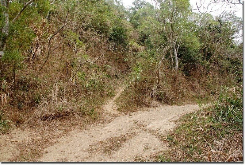 霧里乙南山登山小徑