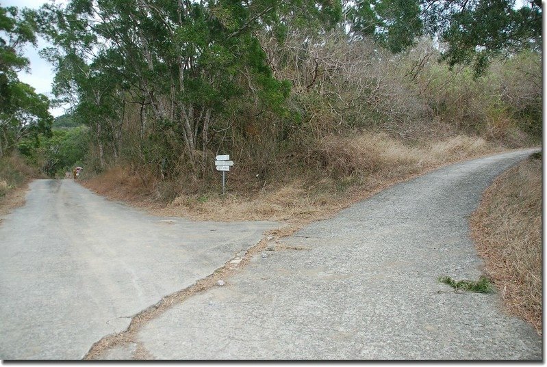 上南勢湖山水泥道路 2