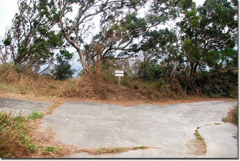 南勢湖山稜線鞍部岔路