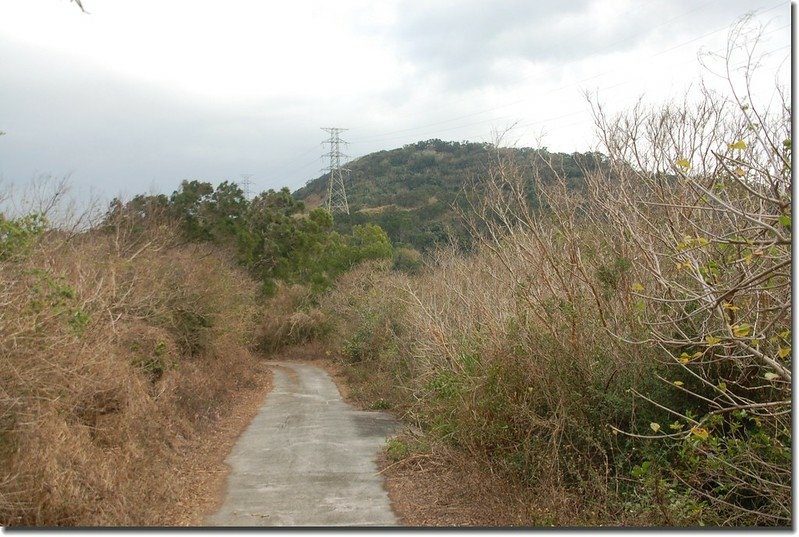 南勢湖山稜線鞍部南望南勢湖山