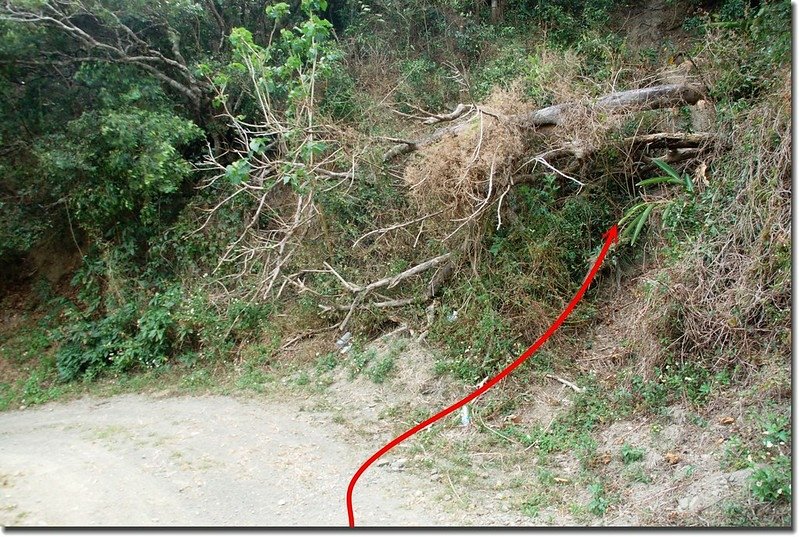 南勢湖山登山口