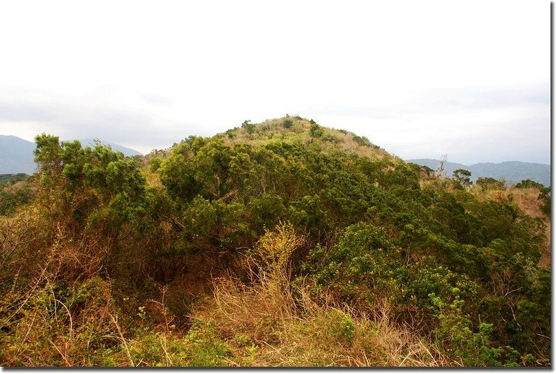 南勢湖山稜線北望南勢湖山