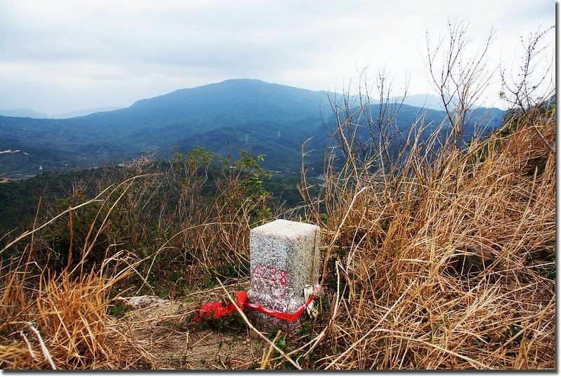 南勢湖山三等三角點(# 4238 Elev. 326 m) 6