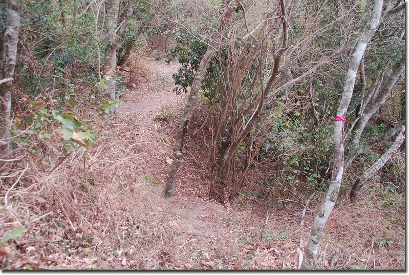 登山步道 2