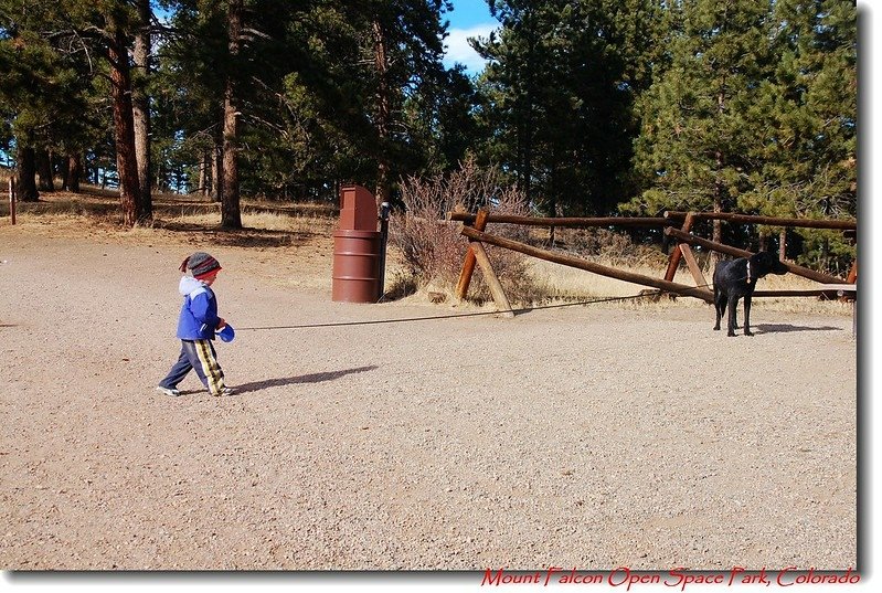 Kid and Dog