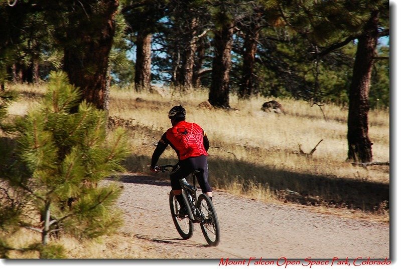 Biker on the trail 2