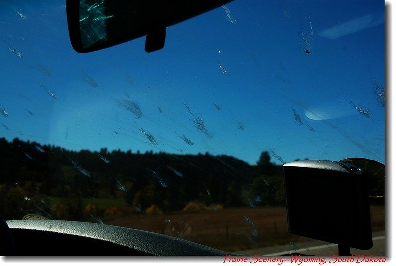 Bird poo！