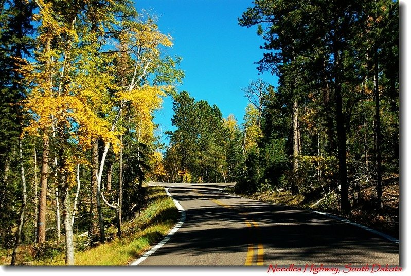 Needles Highway