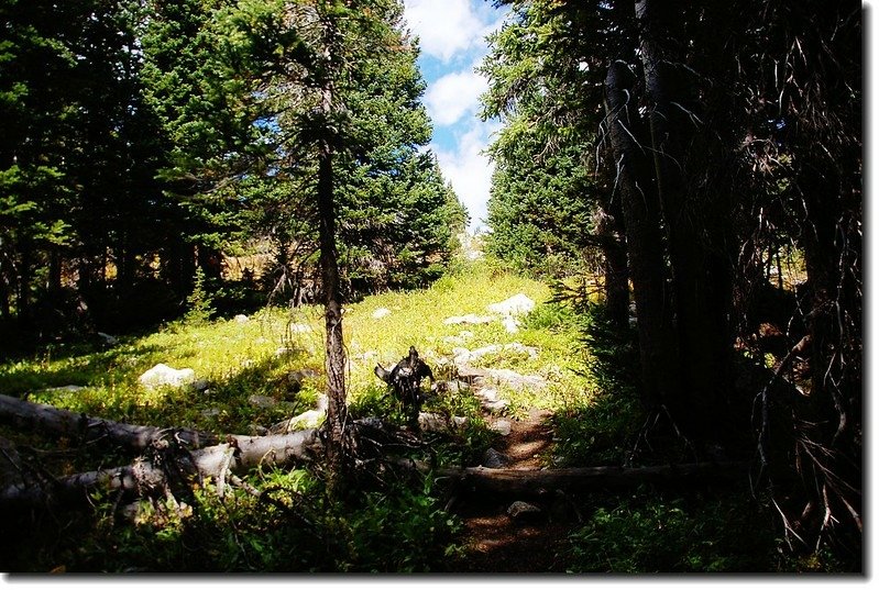 Arapaho Lakes trail