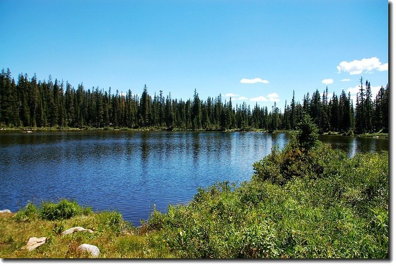 Lower Forest Lake 5