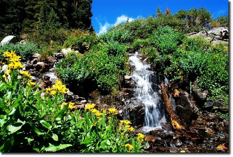 Cascade &amp; wildflower on Lake Isabelle 3