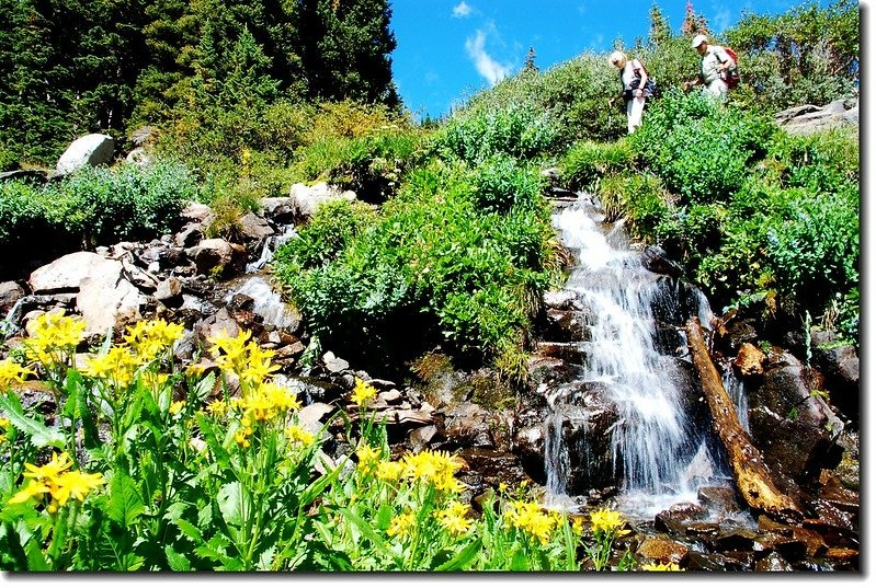 Cascade &amp; wildflower on Lake Isabelle 4