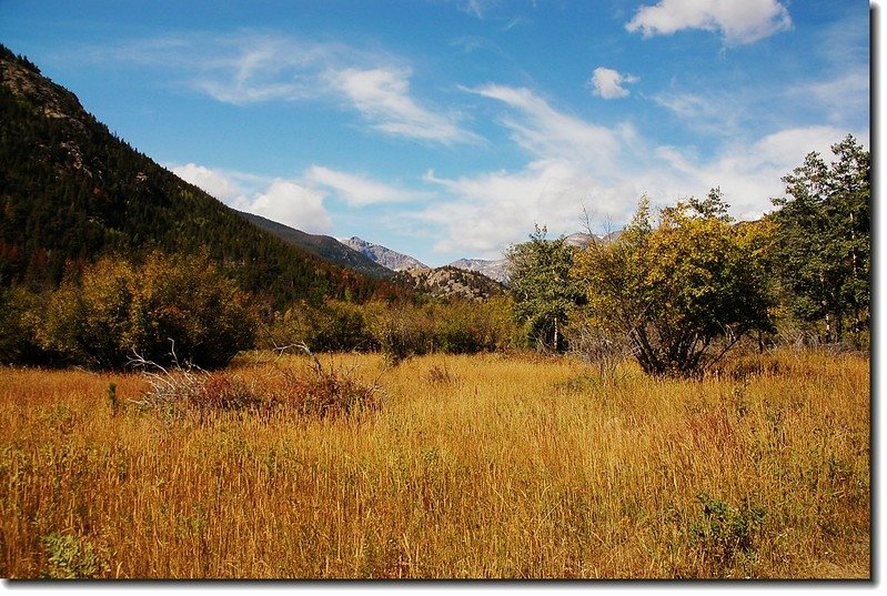 The scenery along Cub Lake trail 1