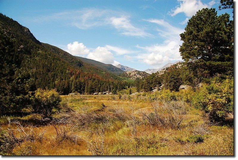 The scenery along Cub Lake trail 2