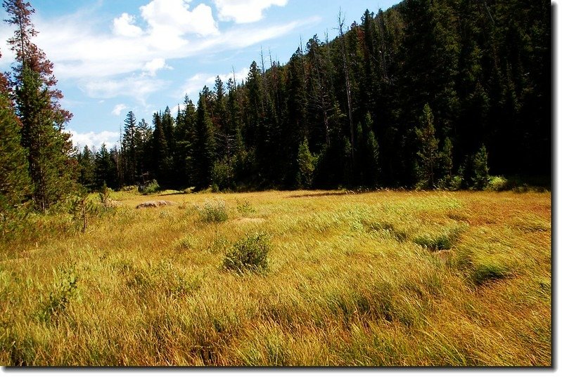 The eastern edge of Cub Lake is quite marshy