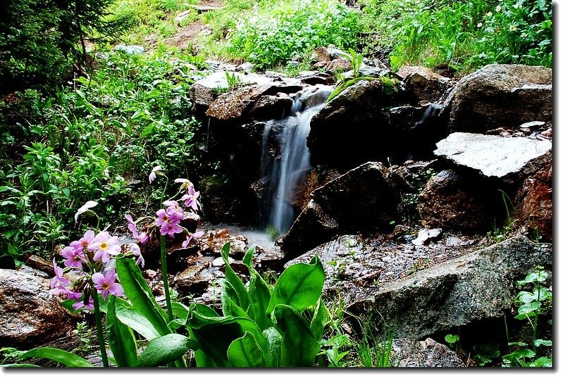 Waterfalls along the trail 5