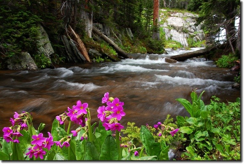 North Fork of Middle Boulder Creek 1