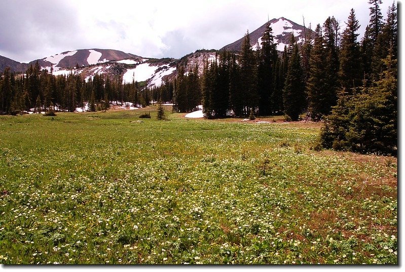 A large meadow Before Diamond Lake 5