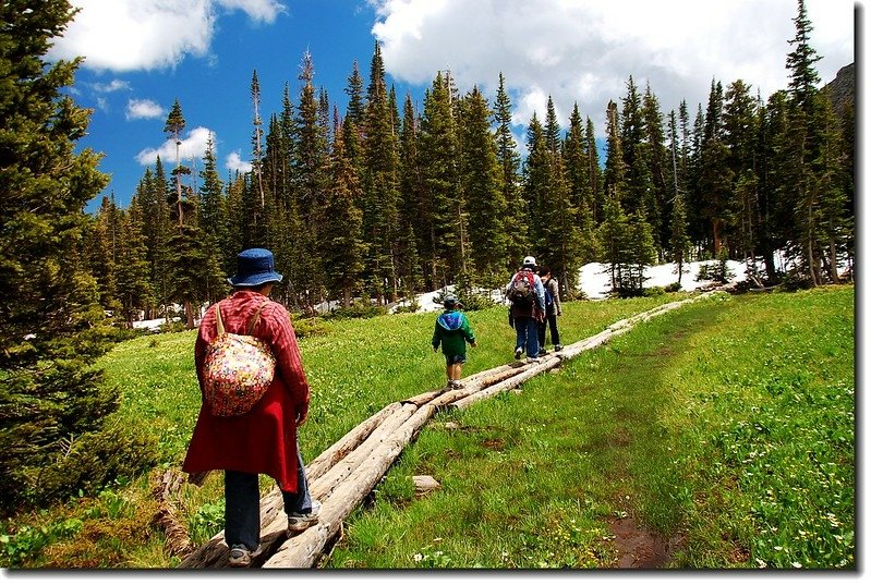 A large meadow Before Diamond Lake 2