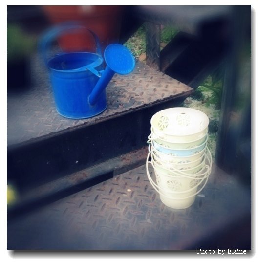 daily coffee