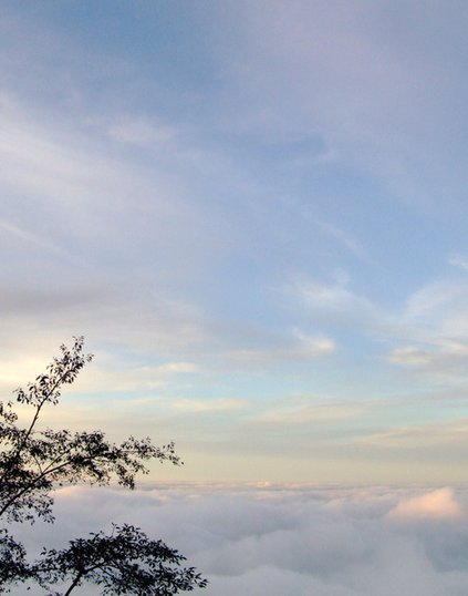 DSCF431921.jpg
