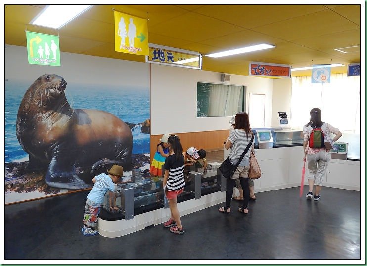 20140725_002 小樽水族館 142s