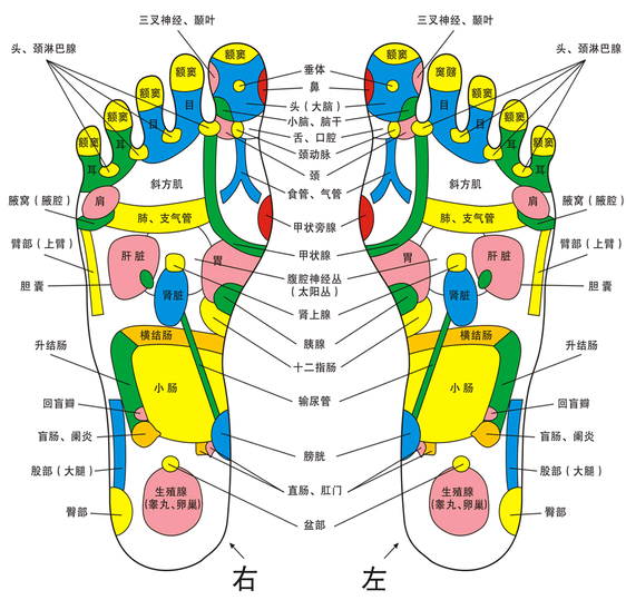 內置圖片 1