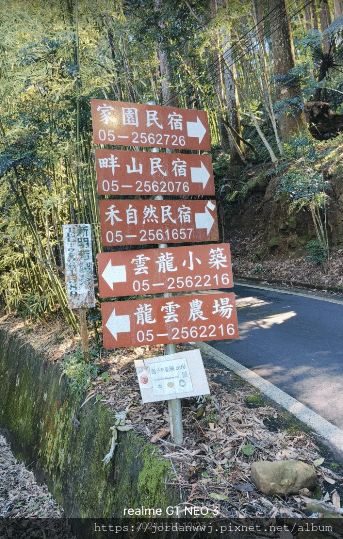 【運動】阿里山石棹「霧、茶、雲、霞、櫻」之道