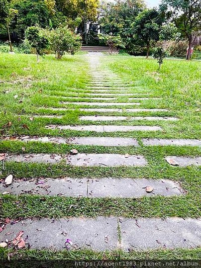 ＊【台南開箱】超酷的城市森林「巴克禮紀念公園」荒野公園，你我