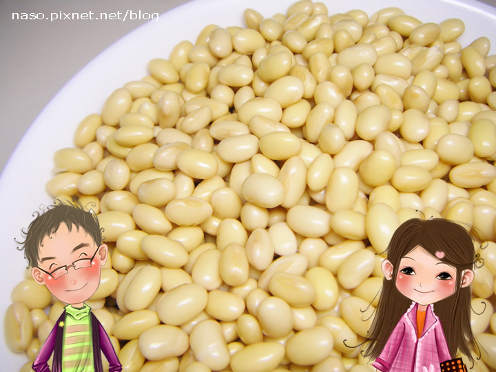 【naso大合購】自製豆漿-小太陽 豪華型專業養生冰沙調理果汁機(TM-770)