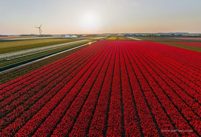 adaymag-out-airpano3d-02.jpg