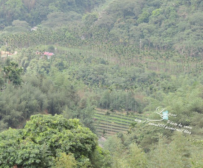 沿途風景