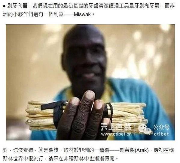 米斯瓦克（miswak）, 也被稱為「刷牙棍」或「樹枝牙刷」