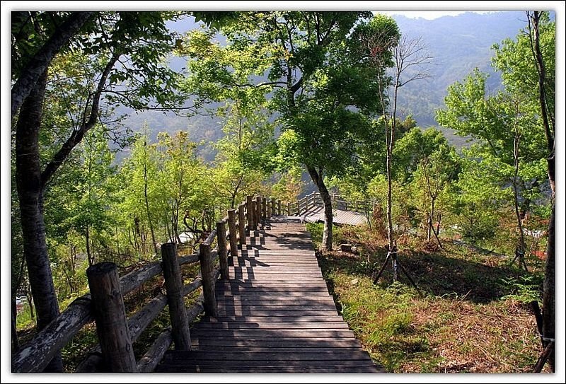 里佳部落楓林步道