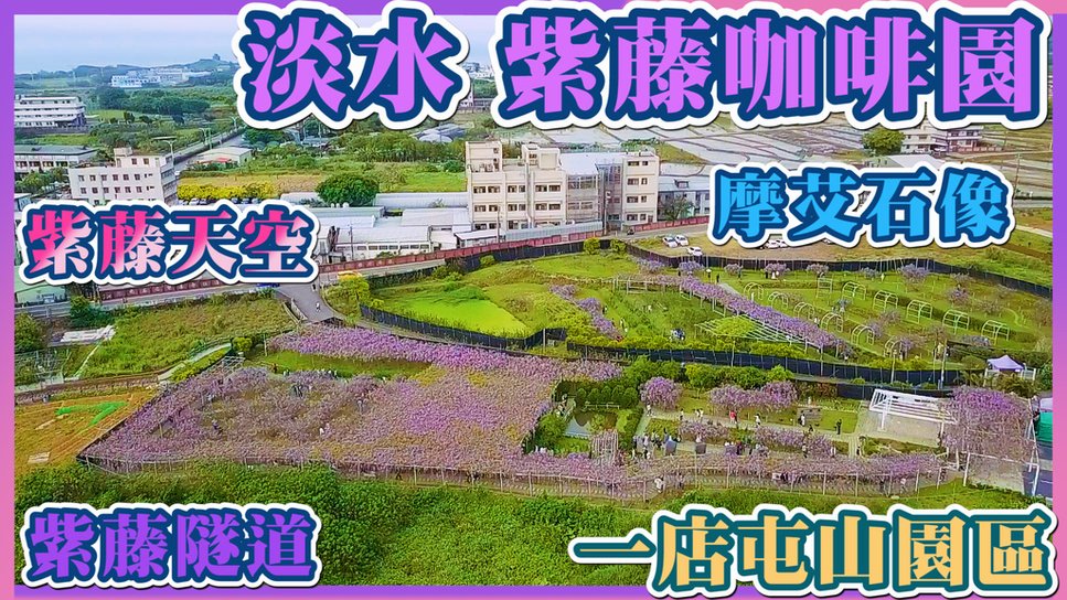 紫藤咖啡園封面.jpg