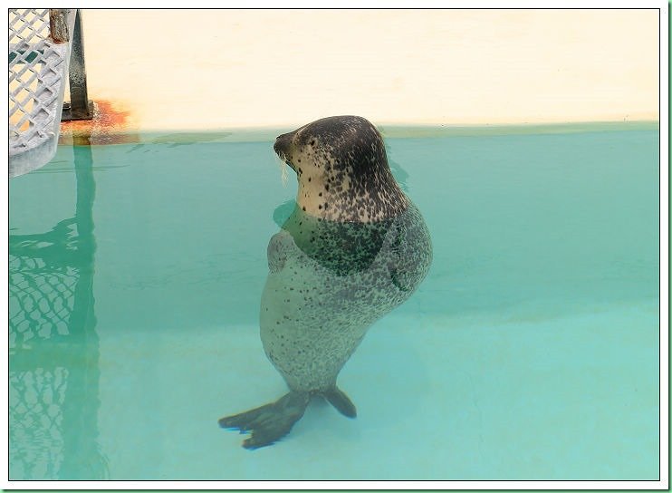 20140725_002 小樽水族館 053s