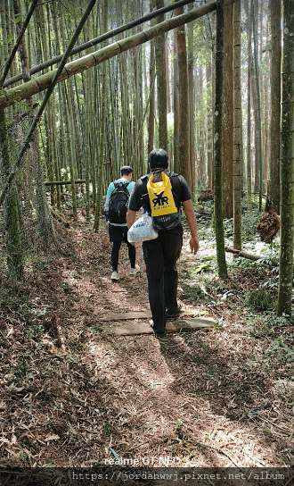 【運動】阿里山石棹「霧、茶、雲、霞、櫻」之道