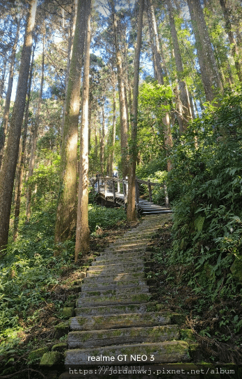 【運動】阿里山石棹「霧、茶、雲、霞、櫻」之道