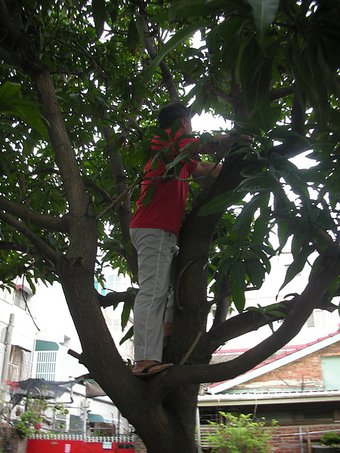DSCN0009.JPG