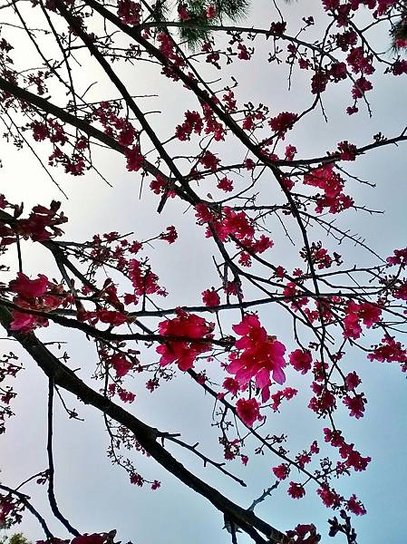 WP_20140123_016